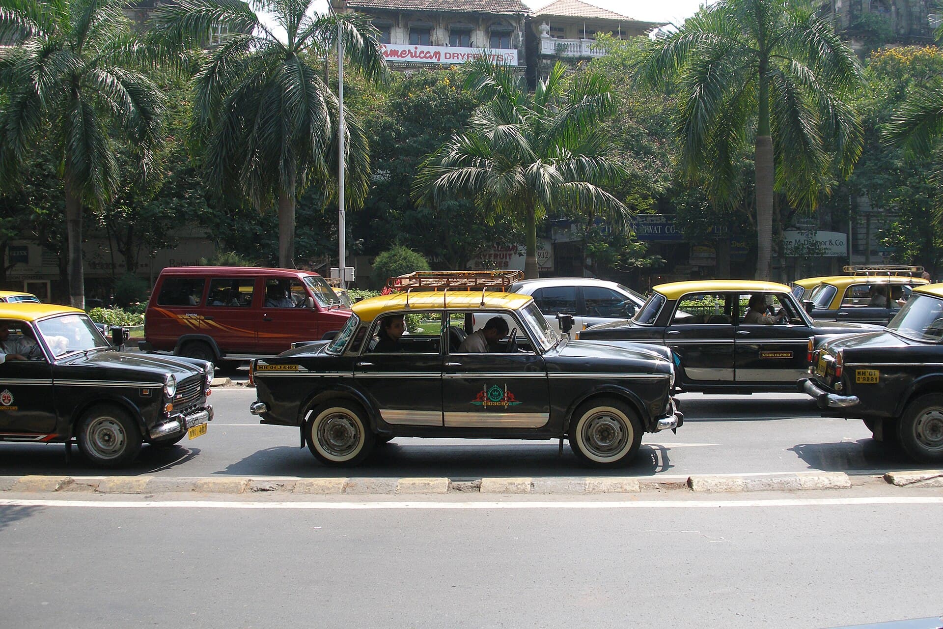 Black and yellow taxis lined up on a tree-lined road in Mumbai